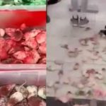 VIDEO: Pro-Palestine Protestor Throws Spray Painted Mice Inside McDonalds Near Children, Shouts Anti- Israel Profanity