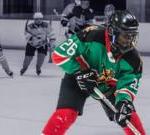 Lions on ice – Kenya’s foray into ice hockey