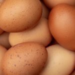 Egg Prices Hit Shocking Highs – Will $9 a Dozen Be the New Standard?