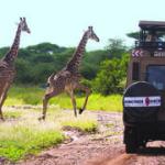 Israeli national killed in car turnover in Tanzania