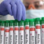 Massachusetts officials suspect bird flu killed dozens of birds in Plymouth