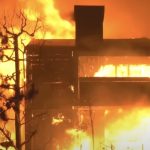 Newsom, Woke Policies, and Nonsensical Climate Strategies Exacerbated the California Fire Disaster