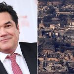 Dean Cain predicts California wildfire catastrophe will change how Hollywood votes