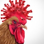 State of Georgia Halts Poultry Sales
