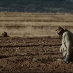 Expropriation without Compensation: South African “Unity” Government Passes Land Grab Law