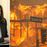 Harris mocked for ‘confusing word salad’ telling LA wildfire victims it’s ‘critically important’ to be patient