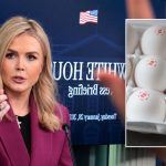 Leavitt says egg shortage, grocery prices why Senate must ‘move swiftly’ to confirm Trump nominees
