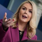 White House press secretary says all illegal immigrants arrested are criminals: ‘That’s exactly what they are’