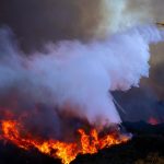 Morning Glory: California’s catastrophe