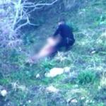 Police arrest man who stole a truck and was then found hiding naked in a cave