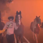 Powerful Video of Horses Being Rescued from California Fires (Video)
