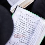 Tehillim Needed For New Jersey Head Shliach
