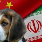EXCLUSIVE: American Taxpayers are Still Funding Animal Tests at Iranian and Chinese Labs