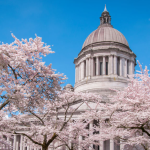 Washington state Democrats accidentally email their ‘radical’ tax plan to entire Senate