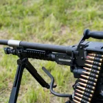 Gaza: Bedouin laborer caught in IDF gun theft attempt