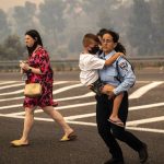 The fires in Israel are under control — but debate is raging over their cause