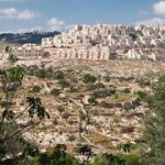 Yesha chief: Two-state solution is dead