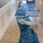 Florida family claims $700K in home damages over Costco-installed fridge — even had to relocate: report