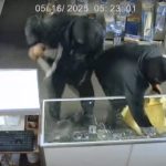 Pair of hammer-wielding, masked crooks steal thousands of dollars worth of Pokémon cards from 2 stores