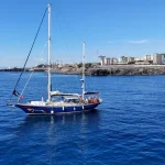 Greta Thunberg joins flotilla attempting to breach Gaza blockade