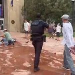 Colorado woman, 82, dies of injuries sustained in antisemitic arson attack
