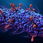 Microbes from space: New species discovered on Tiangong station