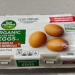 Salmonella Outbreak Tied to Eggs Sickens Dozens Across 7 States