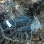 Report: Intercepted calls between Iranian officials downplay US strike on nuclear sites as ‘less devastating than expected’