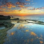 Rachel Canar | Letting in the Light
