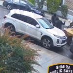 Valuable Part Stolen From Parked Vehicle in Crown Heights
