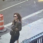 Stylish woman who allegedly stabbed photographer with scissors in NYC nabbed by cops