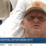 Utah construction worker fights off ‘crazy’ black bear during campsite attack: report