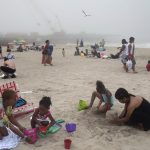 New ‘Jaws’ terror: Jersey Shore beachgoer stabbed in leg by needlefish