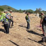 Canine Unit ‘Turning Over Every Stone’ To Locate 6 Missing People Near Tzfat And Meron