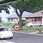Video shows boy, 7, being kidnapped at gunpoint — as dad runs and hides: ‘Hell yeah I ran’