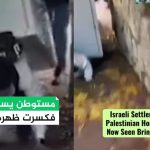 Not cool: What a viral fridge video can teach us about misinformation