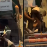 Outrage after Egyptian guards drag, beat US protesters at UN mission in New York