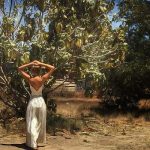 Sarah Tuttle-Singer | Here are 15 reasons why Tu B’Av is way better than Valentine’s Day