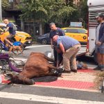 Carriage horse dies on NYC street in horrifying scene — nearly three years to the day distressed Ryder collapsed