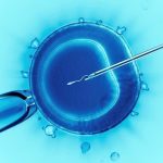 Trump’s big bet on IVF Israeli FemTech is set to cash in – opinion
