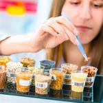 US investment fund Siddhi Capital joins Fresh Start foodtech incubator