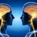 Men’s brains shrink faster than women’s: How is it related to Alzheimer’s?