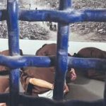 Israeli prison officials fear riots after prisoner release deal: ‘Those left behind will lose hope’