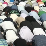 Who’s afraid of the Big Bad Mamdani Wolf? Not me!