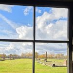 Alexandra Ell | In the Birch Meadow of Birkenau