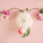 Menopause revisited: Hormones are usually the culprit of the problems – opinion