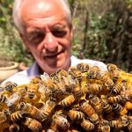 Spirit Festival to help reflect on troubled times