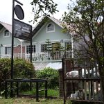 Chabad Hospitality in the cloud forest of Boquete, Panama