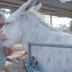 TV Time: Israeli television gives glimpse of optimism with ‘Service Year for Seniors’