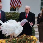 Trump re-pardons Biden’s turkeys saying Biden’s auto pen pardon ‘didn’t count’
